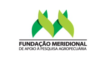 Logotipo do parceiro: Fundação Meridional